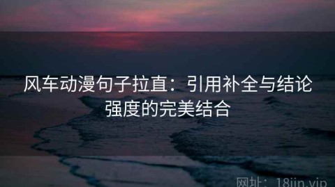 风车动漫句子拉直：引用补全与结论强度的完美结合
