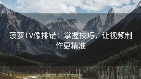 菠萝TV像排错：掌握技巧，让视频制作更精准