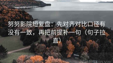 努努影院短复盘：先对齐对比口径有没有一致，再把前提补一句（句子拉直）