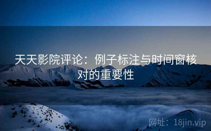 天天影院评论：例子标注与时间窗核对的重要性
